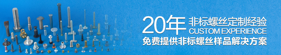 20年非标螺丝定制经验